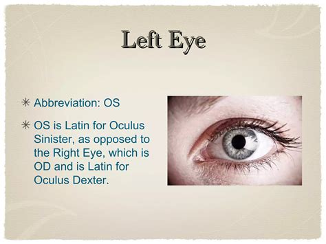 Chapter 13 Presentation | PPT