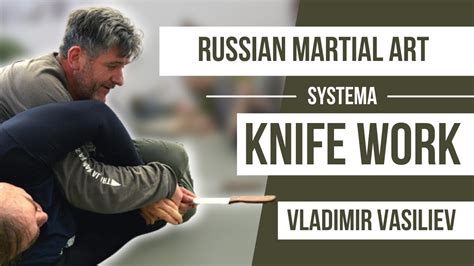 Systema 的图像结果