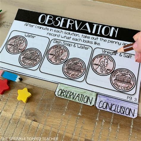 Image result for Scientific Method Experiments Examples