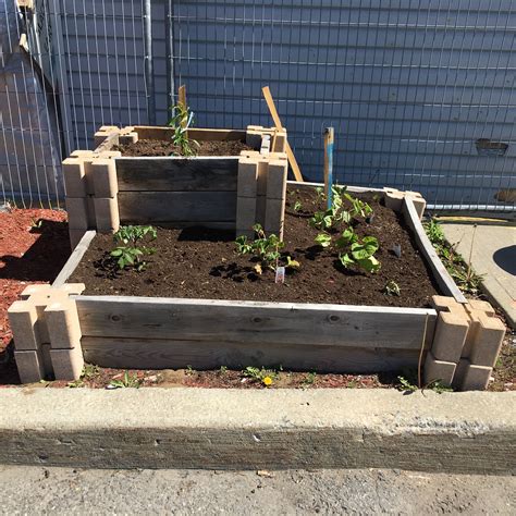 Update planter wall blocks raised bed 2019 – Artofit