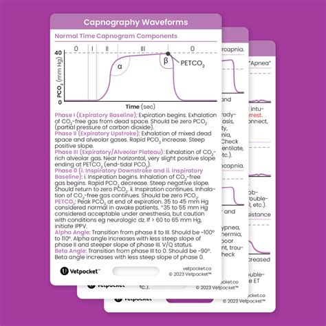 Capnography Waveforms – Vetpocket