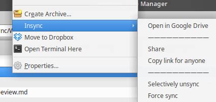Image result for Insync Linux