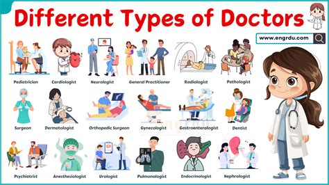 What Are All The Different Types Of Doctors
