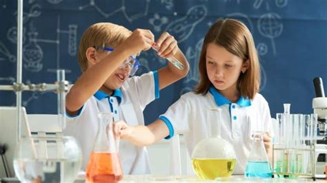 Scientific Method Examples 的图像结果