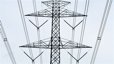 Loss Of Rs 151.75 Cr: CAG Asks Uttarakhand Govt To Formulate Plan To ...