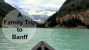 Image result for How to Use Input for Python