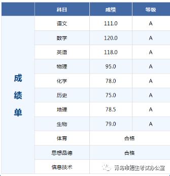 普通高中学业水平考试成绩验证报告_中国高等教育学生信息网（学信网）