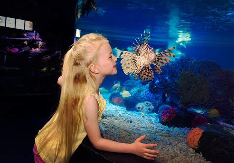 Things To Do in Charlotte, NC - Limo Service Charlotte, NC | SilverFox ...