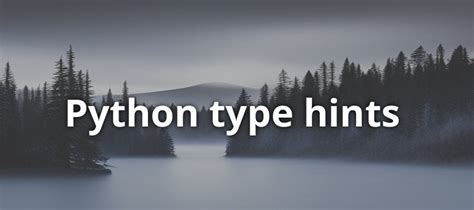 Python Type Hints 的图像结果