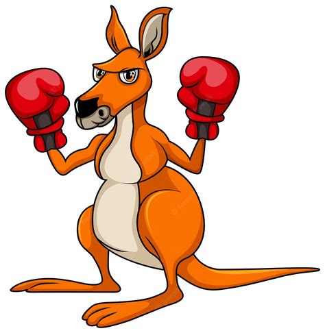 Kangaroo Boxing Fight