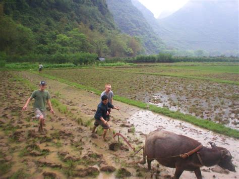 Centre approves Rs 530 crore relief package for farmers | TopNews