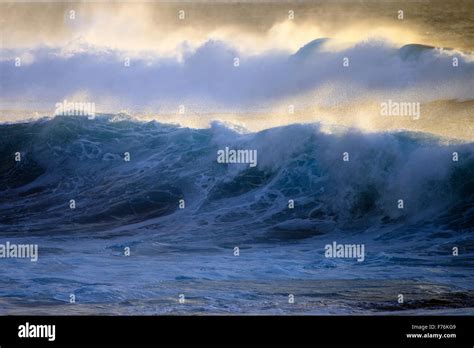 Image result for HTF Breaking Wind