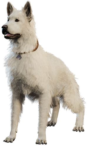 Dog - bg3.wiki