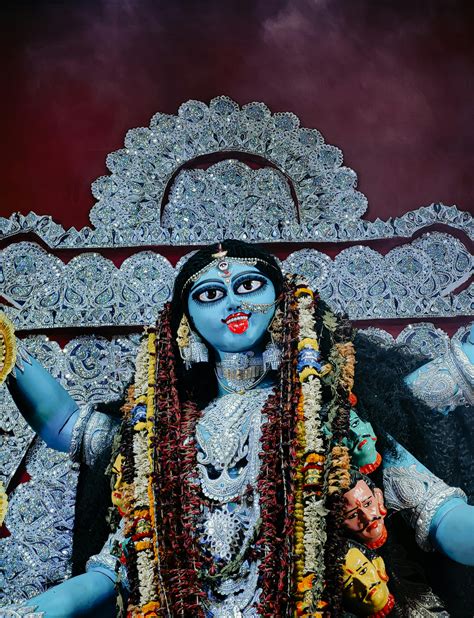 Image result for Kali Linux Stock Image