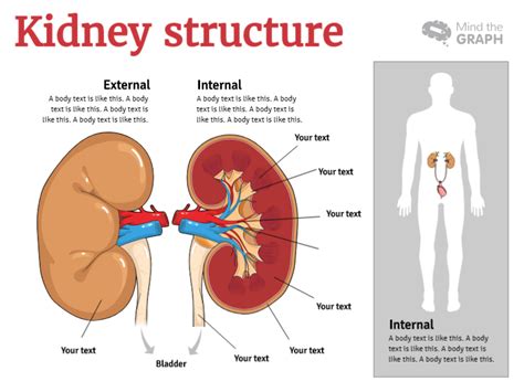 Image result for DFT Graphical Abstract