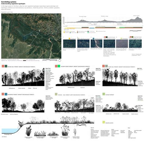Through Dappled Lights of Sal Forest | CEPT - Portfolio