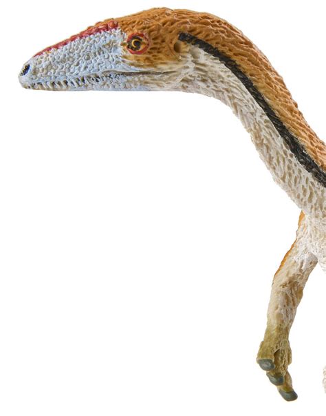 Safari Ltd. Coelophysis - Realistic Hand Painted Toy Figurine Model ...