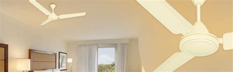 Buy Havells Pacer 1200mm Ceiling Fan (Brown, Pack of 2) Online at Low ...