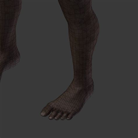 Image result for Australopithecus Simulation