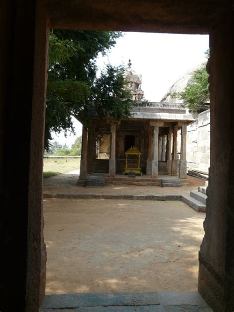 Tirumalai | Sarson ke Khet
