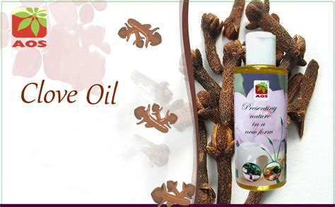 Buy AOS Products 100% Pure Natural Clove Oil - 200 ml | Clove Essential ...