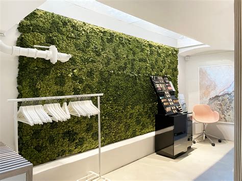 Where To Buy A Moss Wall at Sherie Lentz blog