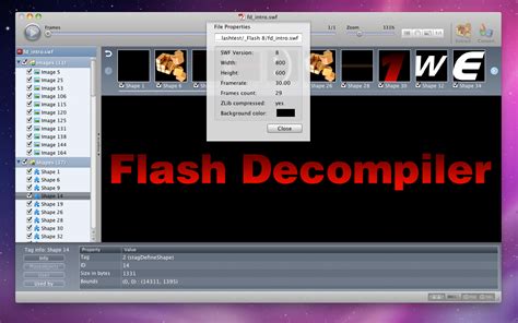 Flash Software 的图像结果