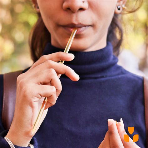 Buy Panjiri Foods Honey Sticks Forest Flora online at Suvo.co