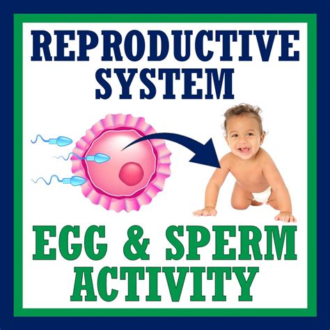 Image result for Life Science Human Reproduction System