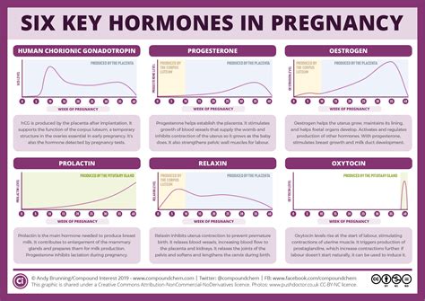 Pregnancy Hormone Cycle Chart Day By Day Progesterone Levels After