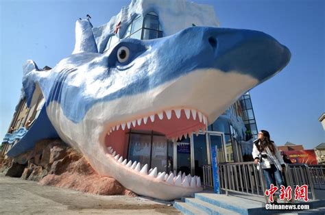巨型鲨鱼雕塑亮相河北邯郸引围观