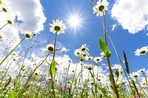 Image result for Spring Weather Meaning