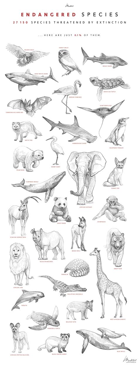 Endangered Insects