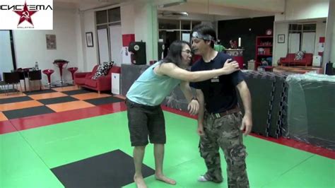 Systema 的图像结果