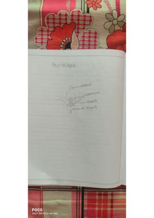 Imgtopdf 0704231209058 - zoology - Studocu