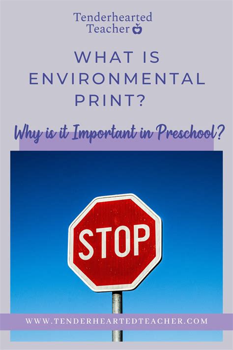 Environment Print 的图像结果