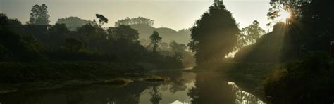 Our Story - SoulForest :: Creating India First Co-Owned Forest