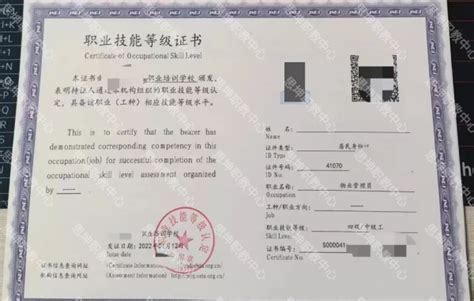 美国公司营业执照公证样本_公证样本_香港律师公证网