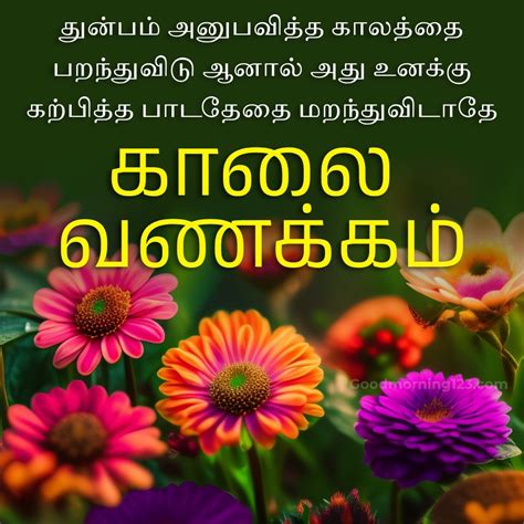 Good Morning Gaelic Images, Wishes & Greetings