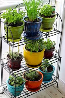 Indoor Garden Containers by Grow Your Own Container Garden My Decorative Indoor Garden Containers