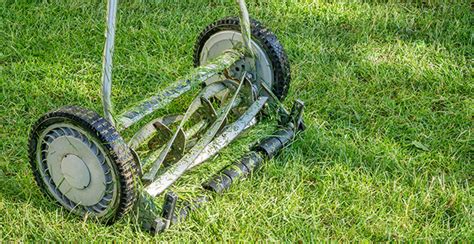 Come scegliere il tosaerba migliore per il tuo prato  