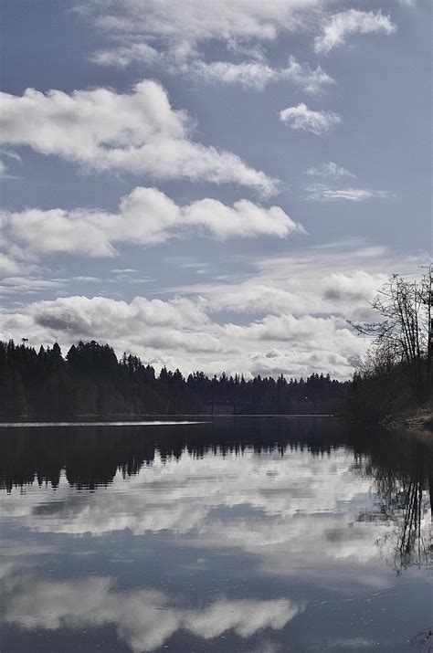 Capitol Lake & Priest Point Park : r/olympia