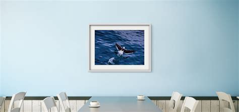 Here's how you can rent art for your home for as little as INR 90 a ...