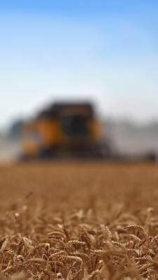 Agriculture Animation 的图像结果