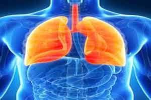 A case of Cavitary lung lesion suspicious for malignancy reveals ...