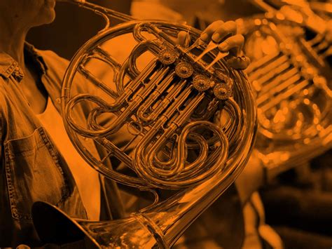 Image result for Bitwig Essentials Package Free