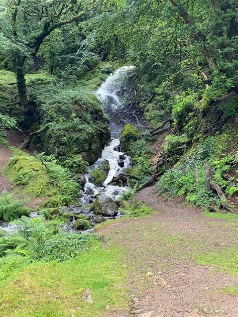 THE DEWERSTONE COTTAGE (Plymouth, Devon) - Lodge Reviews & Photos ...