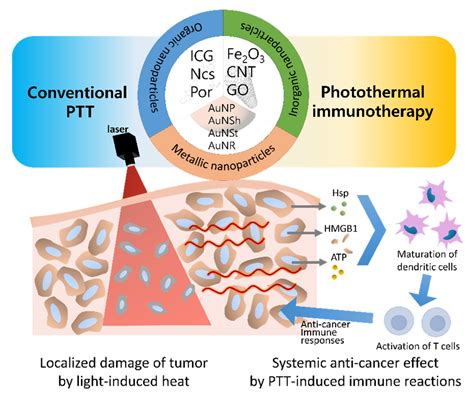How Did Conventional Nanoparticle-Mediated Photothermal Therapy Become ...