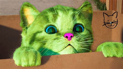 Cat Cartoons 的图像结果