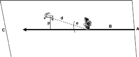 Image result for Line Transect Method